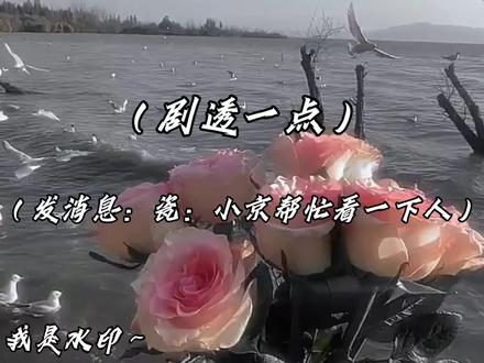 #省拟 #国拟 #抽象 做了好久的点个赞吧,我想破100求求了求求了(இωஇ )@宁蓝真不中了 @已疯勿扰slgvl @祎桉年 @草莓奶芙