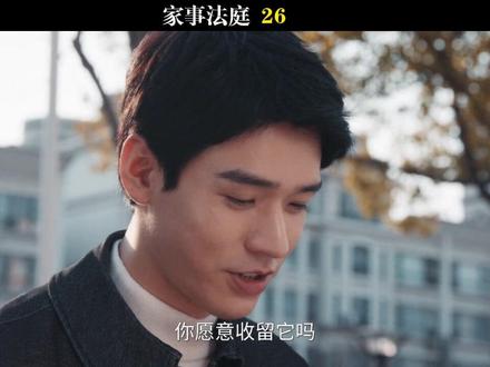 26-12(大结局) #家事法庭 #任敏 #龚俊