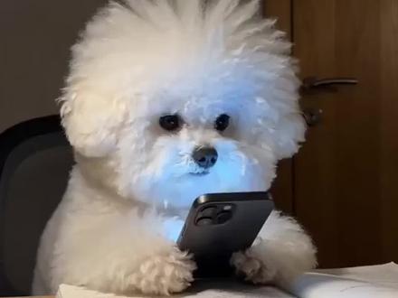 好莱坞欺诈迪斯尼发律师函 seedance2.0真夯
#人工智能 #seedance2.0 #aigc #好莱坞电影