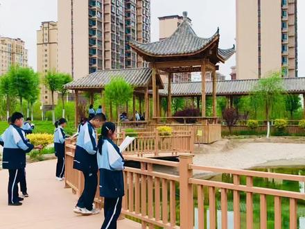 观辰湖旁好读书#记录校园生活
(观辰湖位于武威六中教育集团校园内)