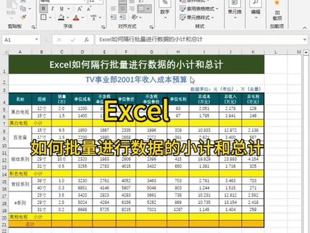 Excel如何隔行批量进行数据的小计和总计✅#上热门 #office办公技巧 #办公技巧 #excel技巧 @咸宁市泰兴电脑教育