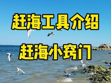 赶海有秘籍,秒变赶海大神#赶海 #北戴河 #旅游攻略 #户外 #抖音热门 #带你去看海 #春游