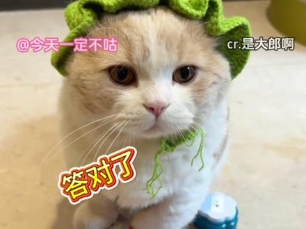 这难道就是猫界学霸吗(cr.是大郎啊)
#萝卜纸巾猫 #猫猫 #搞笑 #万万没想到