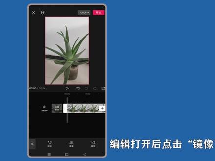 剪映怎么镜像?进入剪辑,点选编辑,选择镜像操作。 #剪映镜像