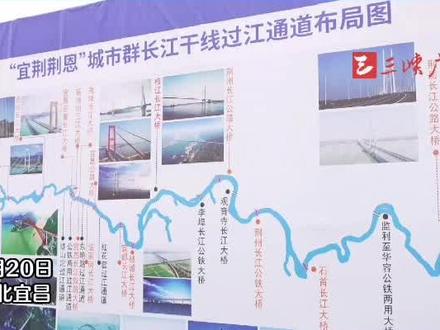 当枝松宜半小时“朋友圈”来了