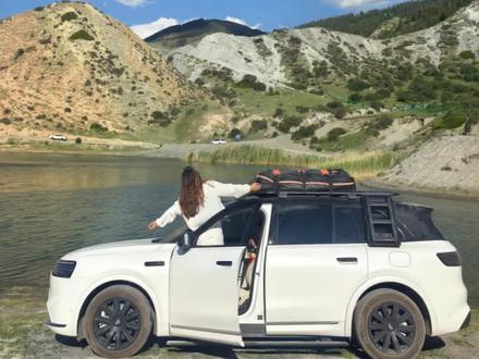 今天到达了新疆精河县的小海子,免费的景区超级漂亮