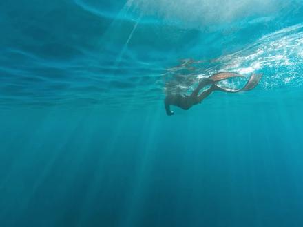 wps office 安装#excel #excel基础