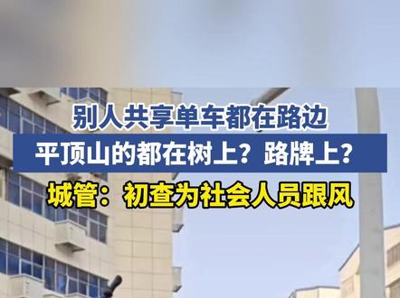 别人共享单车都在路边,平顶山的都在树上?路牌上?城管:初查为社会人员跟风。#共享单车#文明