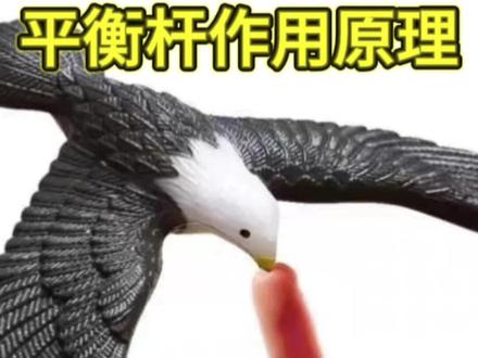 平衡杆纠偏作用原理#原创视频 #反曲弓#射箭#射箭教学#厦门教射箭的豹哥