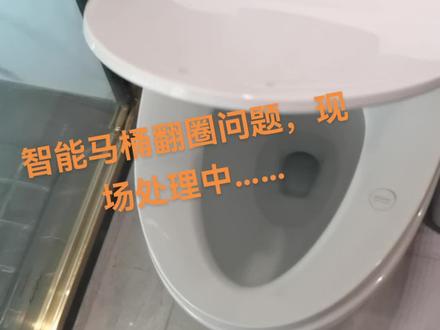 专业智能马桶服务!#智能马桶 #智能家居 #科技改变生活