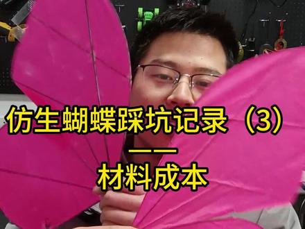 仿生蝴蝶制作记录(3)——成本总结 #仿生蝴蝶 #飞行器 #编程