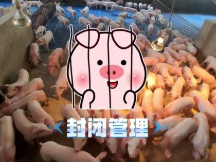 牧原董事长秦英林笑着回应热梗: 未来成为一个没人再嘲笑养猪这件事的企业#养猪人 #牧原 #秦英林 #畜牧养殖 #三农 @DOU+上热门 @抖音小助手 @DOU+小助手