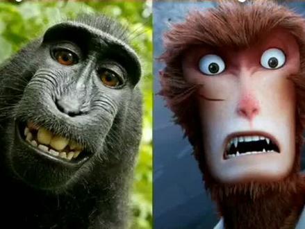 山中无老虎,“猴子”称霸王的由来@抖音小助手 #十二生肖