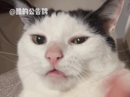 能不能理智一点啊#黄星#邱鼎杰#私生