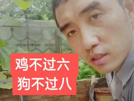 鸡不过六,狗不过八。#文明养犬 #爱狗人士 #宠物 #家庭 #感恩