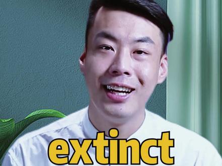 extinct 灭绝的,绝种的 #杨亮讲单词 #每天学习一点点 #单词速记 #生活英语 #实用英语