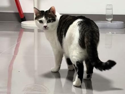 宝宝们 要的来宝日常它来啦!#来宝后续