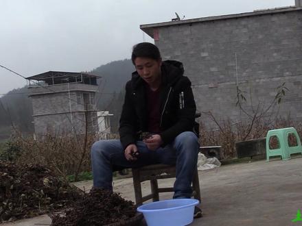 拐枣的保健作用和食用方法你知道多少?小木来告诉你