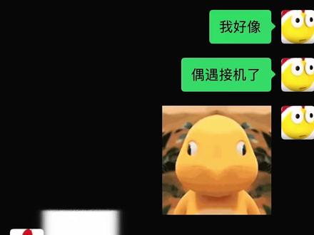 接机视频,致歉所有#朋友#福州#janekao #卢天惠 #接机