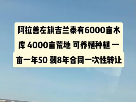 阿拉善左旗 吉兰泰镇 6000亩 水库 4000亩 荒地 可种植养殖 8年合同 50一亩一年 一次性转让 #农村生活 #三农 #服务三农 #我的乡村生活 #农村