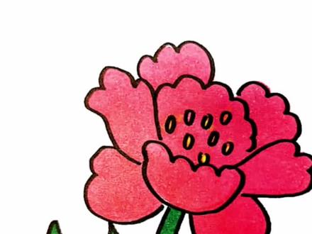 牡丹花简笔画#牡丹#花卉#植物#简笔画教程@抖音小助手