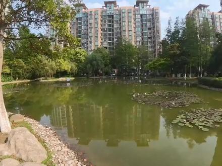 电影感大升级,pocket4变电影机了? #大疆 #osmopocket4 #dji #电影感 #vlog