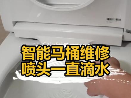 智能马桶喷头一直滴水流水怎么处理?不用换配件,教你维修智能马桶。#智能马桶 #马桶修理 #卫浴维修不求人
