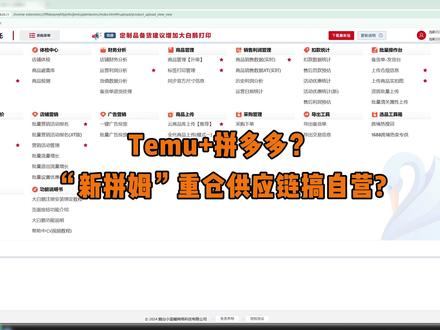 新拼姆重仓供应链要搞自营 Temu+拼多多,你怎么看?#temu #拼多多 #跨境电商