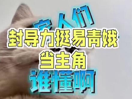 老一辈艺人用一辈子经历总结出来的实用道理关键时候救了忆秦娥 #小说主角 #秦腔 #人生如戏戏如人生 家人们谁懂啊,我直接泪崩了😭!
易青娥原本唱腔有短板,好在花彩香出手相助,一番精心修正后,她卧鱼吹火的唱腔功力那叫一个突飞猛进,直接全面超越了龚丽丽。封导一看,果断决定力挺易青娥当主角。这可把龚丽丽气坏了,心里那股子不满“噌噌”往上冒。
为了毁掉易青娥,龚丽丽干起了缺德事儿,偷偷往易青娥吐火的药包里掺了能自燃的磷粉,这要是喷出去,易青娥的嗓子可就毁了!
想当年,苟存忠老前辈就遭过暗算,落下了病根。临死前,他特意拉着易青娥的手,千叮咛万嘱咐,让她吐火的药包一定要自己研磨调配。
演出前,易青娥像往常一样检查药包,一上手就感觉不对劲,药粉的触感和平常差太多了。她瞬间想起师父的叮嘱,赶紧仔细检查,这一查可不得了,发现了龚丽丽的阴谋,成功躲过了这场致命灾祸。
家人们,在复杂的工作环境里,咱真得多留个心眼儿啊!这不就是老一辈艺人用一辈子经历总结出来的实用道理嘛,关键时刻能保命啊!