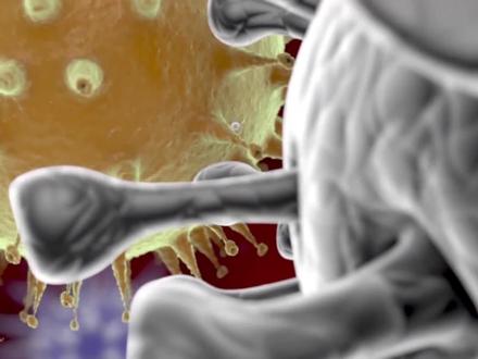 如何预防新型冠状病毒?病毒是如何从野生动物体内传染给人类?