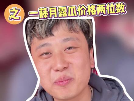 一个藤上只有一个瓜,一藤月露流星瓜!今天只需两位数的价格~#蜜瓜 #水果 #三八女神节