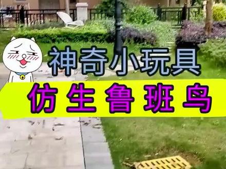 用垃圾袋和撸串就能做鲁班鸟,没想到最后的效果居然很帅😂 #手工 #亲子手工 #亲子互动 #创意手工 #亲子手工制作