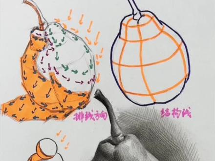 梨的排线练习#美术 #素描 #零基础学画画 跟素描干货王一起轻松学画画