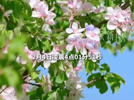 #2026年正式立春 ,就在今天凌晨4点01分51秒!“咬春” 是今天的重头戏,咬掉旧岁不顺心,咬来新年好运气,祝大家新年事事顺,日子越过越红火。