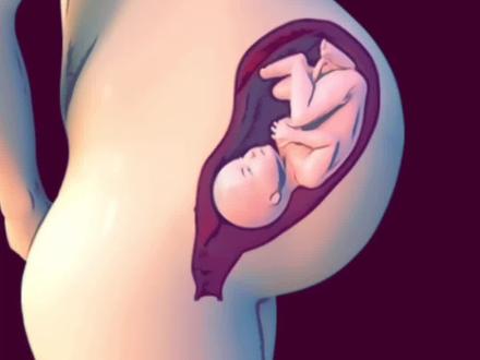 动画女性受孕全过程#涨知识 #曲江妇产医院