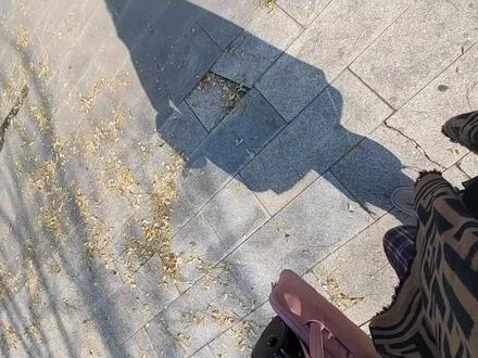 🙏🏻感恩师兄们🙏🏻
这期视频说明了我为什么来潮音寺做义工和义工都需要做什么?
今天是文殊菩萨出家日,也是我第一次参加寺院的活动。人太多,我非常不习惯,社恐还特别的慌。
不过当我踏入庙宇的大门,一股悠远的香烟扑面而来,心立马就沉静下来了,远处的佛像金光闪耀,祥云缭绕。听完师父的讲解,看着大家轻轻簇动经卷的页角,像是触摸到了智慧的流淌。🙏🏻
关于做义工:私信我的各位师兄们,首先我非常随喜赞叹你们,你们不用这么大老远的非得来天津潮音寺做义工,你们也可以去当地的一些寺院报名咨询,可以看看公众号有没有联系方式,或者直接去寺院的义工部。
关于去哪个部门:寺院的部门有好几个,根据你们擅长的一些东西然后进行分配,我会配音我会写文案这类的所以去了编辑部,我还会拍个简单照片修个图,所以也去了法物流通处,顺便还可以学习怎么编串,也能了解一些串和宝物等的知识。所以你们擅长什么就去做什么即可啦,在哪儿都可以发光发热的,感恩你们。
真的太神奇太神奇了,我强烈建议你们来体验一下义工的生活!!!!!!
#义工 #寺院义工 #寺院生活 #义工行动 #生活