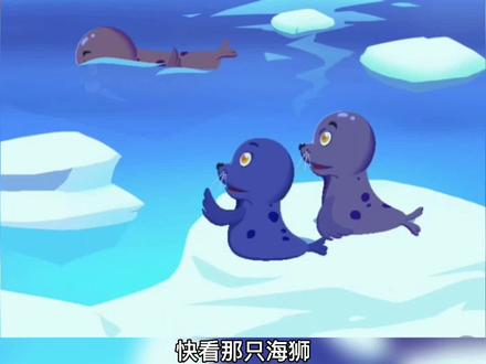 科普小知识《海象的牙齿》#科普 #教育