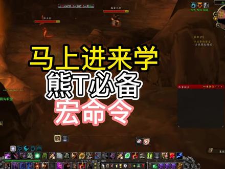 熊T必备的几个宏命令推荐!每个都是香饽饽! #魔兽世界 #巫妖王之怒 #德鲁伊 #我们比你们多一个世界