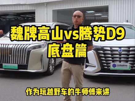 不看其他的,就这个地盘,你们会选择哪一台......#MPV #魏牌高山 #出行头等舱 #dou是好车 #魏牌 @牛师傅越野车会