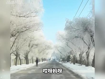 哈爾濱有多寵南方小土豆讓地道的東北人都羨慕了 #搞笑视频 #搞笑名场面 #儿童搞笑视频 #可爱搞笑 #抖音二创激励计划