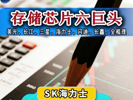 存储六巨头相关公司梳理 #存储芯片 #半导体 #财经
