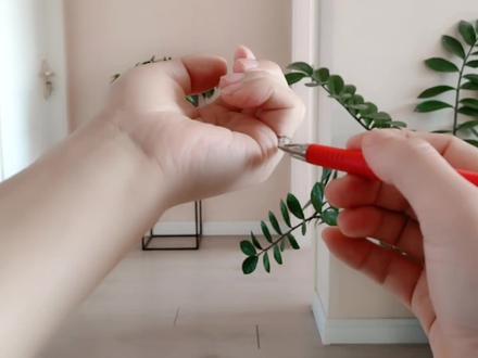 心肾不交容易耳鸣,按按手指,降心火,滋肾水,耳朵不再嗡嗡响