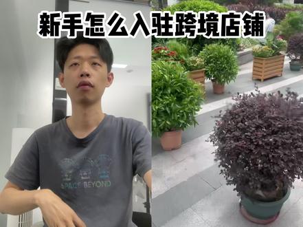 新手怎么入驻跨境电商店铺 #电商 #tk跨境电商 #跨境电商