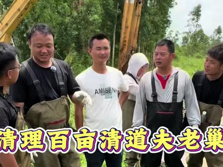 清理百亩清道夫老巢的第四天#清道夫