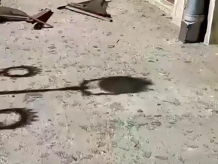 伊朗“玫瑰宫”损毁,盘点3座被战争损坏的古迹,第3个令国人痛