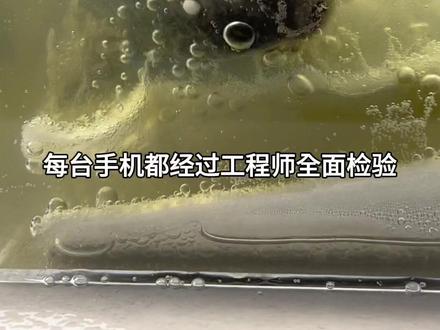 把自热包丢给一只清道夫!会发生什么事?#清道夫#自热包#趣味实验