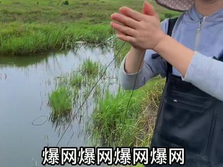 为了实现小龙虾自由,用猪肝当诱饵放了地笼,看会不会爆网#小龙虾 #钓龙虾 #小龙虾自由近在眼前了 #吃龙虾的季节