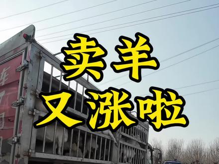 又涨啦又涨啦 #姜春山羊养殖 #姜春养殖场 #真实生活分享计划 #vlog日常