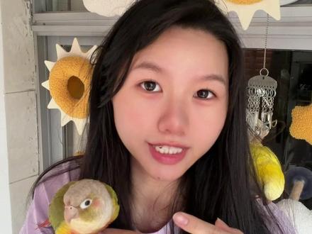 和尚鹦鹉🦜保姆级饲养教程! #我和我的鹦鹉 #鹦鹉 #小鹦鹉 #和尚鹦鹉