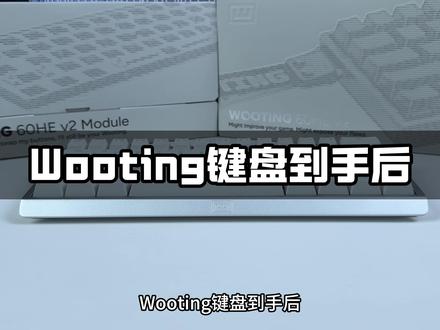 保姆级Wooting驱动设置教学 #Wooting #wooting驱动设置 #磁轴键盘 #键盘 #教学